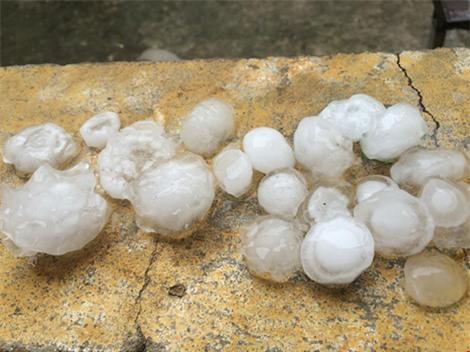 Mưa đá to bằng quả trứng gà lại trút xuống Nghệ An - Ảnh 1. Mưa đá to bằng quả trứng gà lại trút xuống Nghệ An - Ảnh 1.