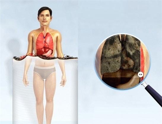 Hút thuốc lá ảnh hưởng đến cơ thể như thế nào? hut thuoc la anh huong den co the nhu the nao 2 Hút thuốc lá ảnh hưởng đến cơ thể như thế nào?