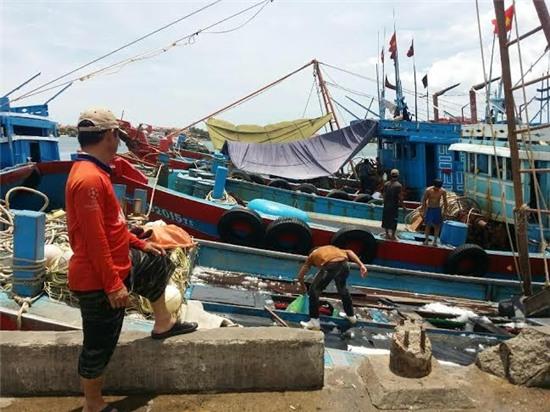 cá chết hàng loạt tại miền trung, ngư dân, Formosa cá chết hàng loạt tại miền trung, ngư dân, Formosa