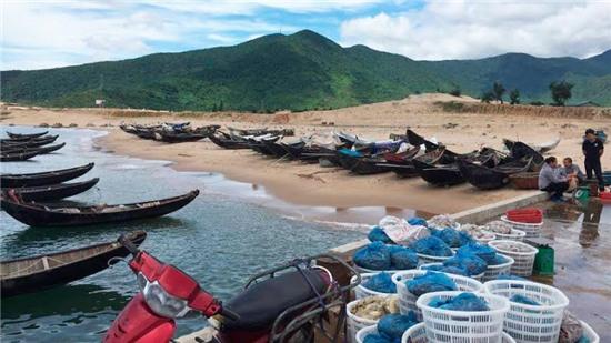 cá chết hàng loạt tại miền trung, ngư dân, Formosa cá chết hàng loạt tại miền trung, ngư dân, Formosa