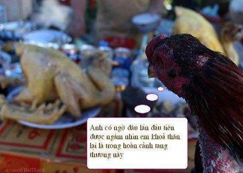 Cười nghiêng ngả với những hình ảnh cực độc (P.13)