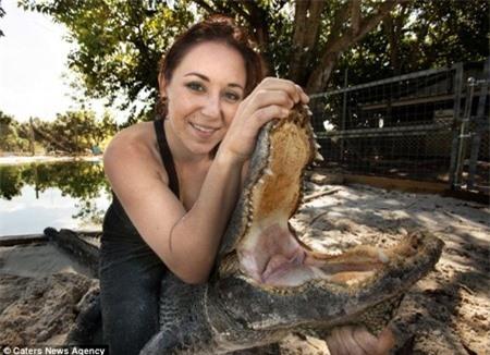 Xã hội - Cô gái yêu nghề... vật lộn với cá sấu