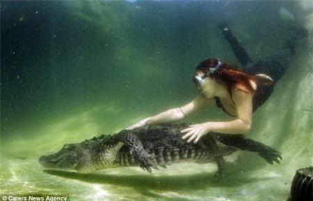 Xã hội - Cô gái yêu nghề... vật lộn với cá sấu (Hình 4).