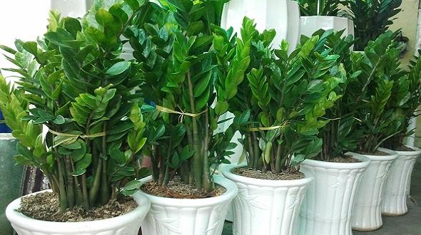 Kết quả hình ảnh