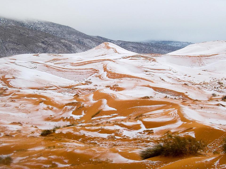Những sự thật bất ngờ về sa mạc Sahara-8