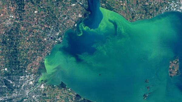 Hồ nước biến thành màu xanh tuyệt đẹp sau hơn nửa thế kỷ, nhưng đó lại là tin cực kỳ không tốt-1