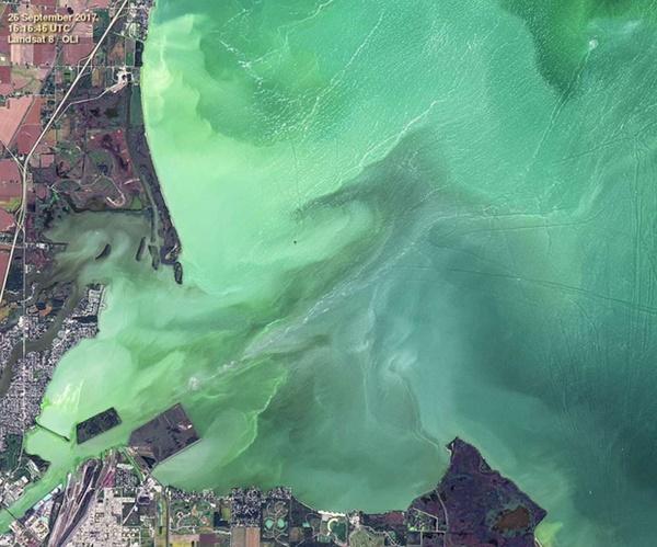 Hồ nước biến thành màu xanh tuyệt đẹp sau hơn nửa thế kỷ, nhưng đó lại là tin cực kỳ không tốt-2