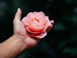 Ngã ngửa với những lý do ly hôn củ chuối nhất hành tinh-3