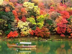 Lịch lá vàng lá đỏ mùa thu ở Hàn Quốc và Nhật Bản