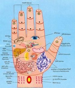 Một điểm trên bàn tay bị đỏ: Dấu hiệu cảnh báo bệnh gan không thể xem nhẹ