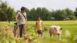 'Ông bố nông dân' Lương Mạnh Hải la hét hoảng loạn khi bị cua kẹp