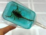 Những món ăn gây thương nhớ trong lòng các chị em tuần qua-7