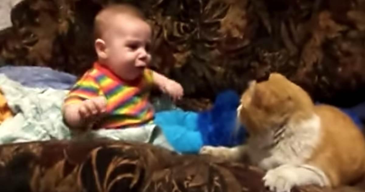 Adorable Baby Refuses To Go To Sleep But Big Mamma Cat Won T Take