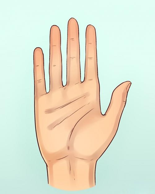 Hình dáng ngón tay biểu hiện rõ mồn một tính cách của một người-3