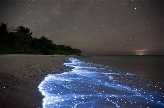 1. Biển sao trên đảo Vaadhoo, Maldives: Vùng biển lấp lánh trông như một tấm gương phản chiếu bầu trời đầy sao phía trên. Trên thực tế, đó là một loại phù du có khả năng phát ra ánh sáng xanh nhạt trong bóng tối. Chúng tạo ra ánh sáng tự nhiên vô cùng lãng mạn trên bãi biển. 