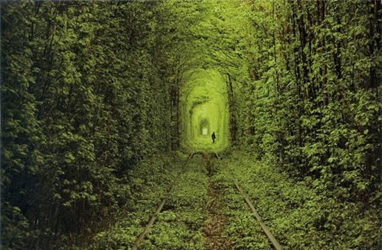 5. Đường hầm tình yêu của Klevan, Ukraine: Đây là một đường hầm xe lửa bao phủ bởi cây cối dày đặc,  một màu xanh tươi, cung đường này là một điểm hút khách chính trong khu vực và cũng là một trong những nơi lãng mạn nhất trên thế giới.
