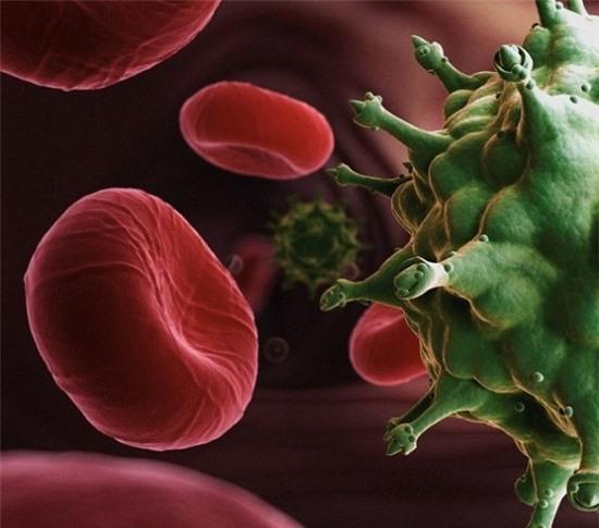 'Xóa sổ' thành công virus HIV khỏi tế bào con người?