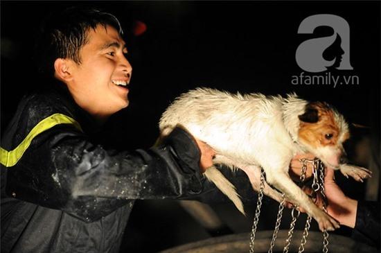 Hà Nội: Ngọn lửa thiêu rụi cửa hàng bán sofa giữa đêm mưa lạnh 8