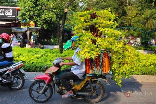 Chùm ảnh: Không khí Tết đã rộn ràng trên từng góc phố Sài Gòn 7