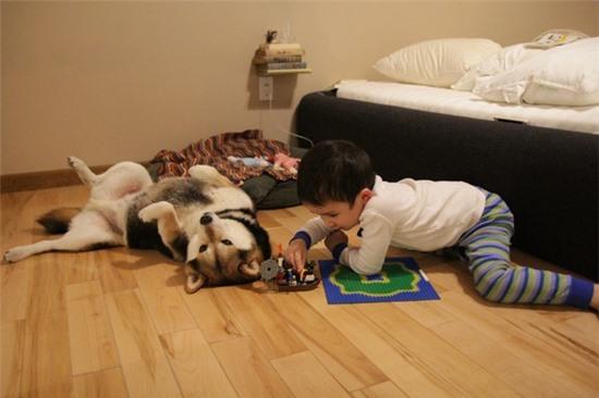 Tan chảy với hình ảnh đáng yêu của cậu bé gốc Nhật Bản bên cún cưng 3