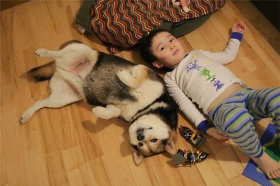 Tan chảy với hình ảnh đáng yêu của cậu bé gốc Nhật Bản bên cún cưng 5
