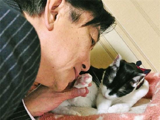 Những người yêu mèo bây giờ có thể cảm nhận mùi hương từ chân mèo trên chính cơ thể mình bằng loại kem dưỡng mới.