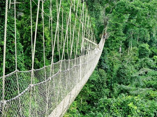 Cầu Canopy ở công viên quốc gia Kakum (Ghana): Cầu dài 329 m, cao 49 m, làm hoàn toàn bằng dây thừng bện, hẹp tới mức chỉ 1 người đi lọt. Du khách đến đây sẽ có cảm giác thót tim giữa khung cảnh rừng xanh hung vỹ.