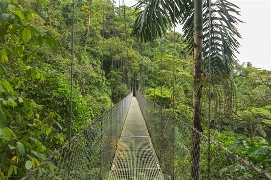 Cầu treo Arenal (Costa Rica): Cụm cầu này gồm 15 cầu, dài 100 m, cao 45 m phía trên khu rừng nhiệt đới nối với một ngọn núi lửa. Cảm giác lắc lư trên cầu hoàn toàn không dành cho những người yếu tim.