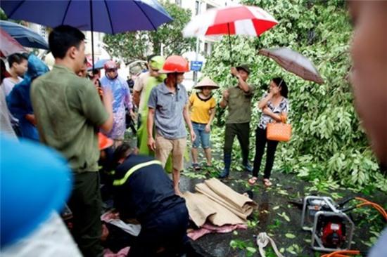 Một người đàn ông khi đi xe máy qua ngã tư Quang Trung - Nguyễn Du thì bất ngờ cây xà cừ lớn bật gốc, đè trúng khiến nạn nhân tử vong tại chỗ. (Ảnh: Tiền phong)