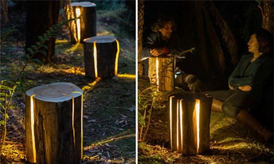 Chùm ảnh cây gỗ kỳ lạ có thể phát sáng trong đêm