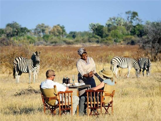 Ăn sáng và ngắm ngựa vằn ở khu trại Little Mombo, đồng bằng Okavango, Botswana. Little Mombo cũng được tạp chí Travel + Leisure đánh giá là khách sạn tuyệt nhất thế giới. 