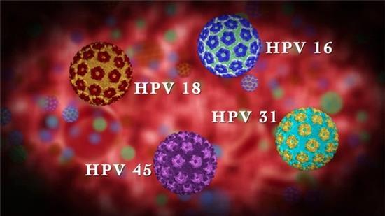 Các chủng HPV gây u nhú ở người
