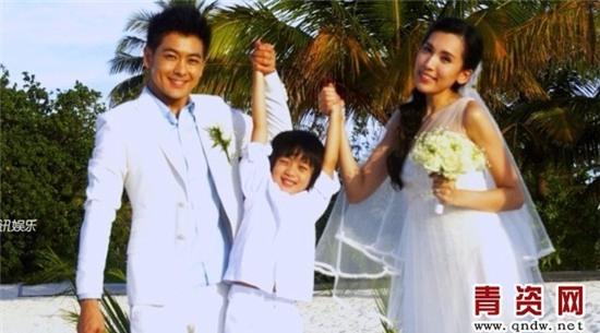 Tháng 7/2013, Lâm Chí Dĩnh tổ chức lễ cưới với người đẹp Trần Nhược Nghi sau 5 năm yêu đương. Hôn lễ được tổ chức tại bờ biển xinh đẹp Phuket, Thái Lan. 