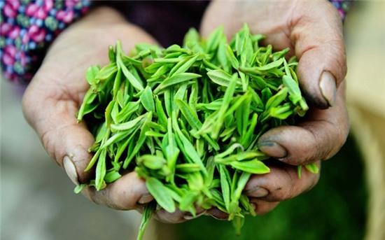 Tôm xào trà: Hàng Châu (Chiết Giang) nổi tiếng với món tôm sông được xào cùng lá trà Long Tỉnh. Tương truyền, món này ra đời khi một đầu bếp vô tình làm rơi lá trà vào món tôm khi chế biến cho hoàng đế ngự dùng.