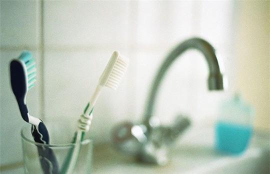  Để chung nhiều bàn chải đánh răng khiến vi khuẩn dễ lây lan 