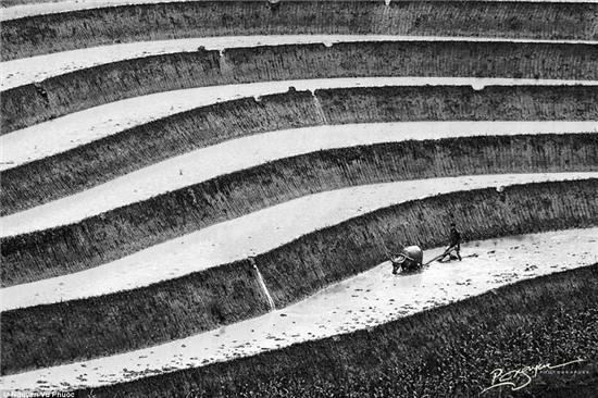 “Rice Farmer Tilling”, hình ảnh người nông dân đang cày cấy hầu như đều được chụp và xuất hiện ở bất kỳ thời kỳ nào trong lịch sử Việt Nam.