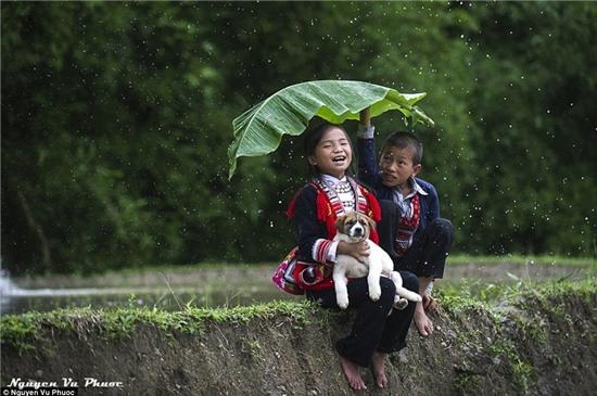Hình ảnh một cậu bé sẵn sàng chịu ướt che cho cô bạn đang cười lớn và ôm chú chó nhỏ ngồi dưới mưa.