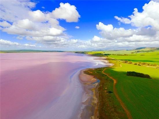 Hồ Hillier Bumbunga, Australia: Đây là một trong những hồ nước nổi tiếng và đặc biệt nhất thế giới, với nước màu hồng tự nhiên.