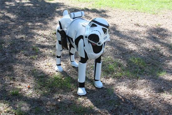 Chú chó đáng yêu hóa thân thành chiến binh Stormtrooper - Ảnh 1.