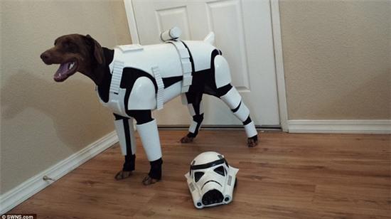 Chú chó đáng yêu hóa thân thành chiến binh Stormtrooper - Ảnh 3.