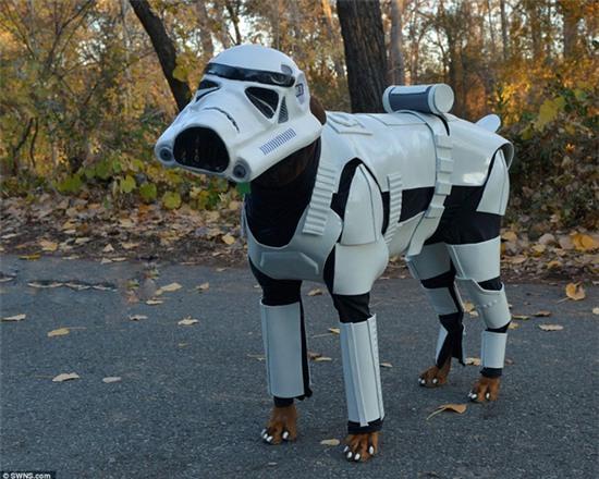 Chú chó đáng yêu hóa thân thành chiến binh Stormtrooper - Ảnh 6.
