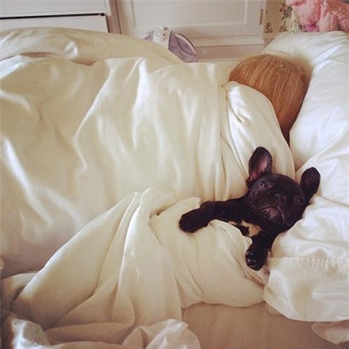 Ngủ với thú cưng giúp bạn khỏe mạnh hơn - 1