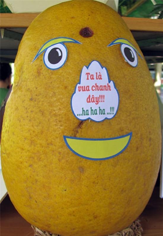 Quả chanh khổng lồ nặng 6 kg tại lễ hội trái cây Nam Bộ 2012. (Ảnh: Ngôi sao) 