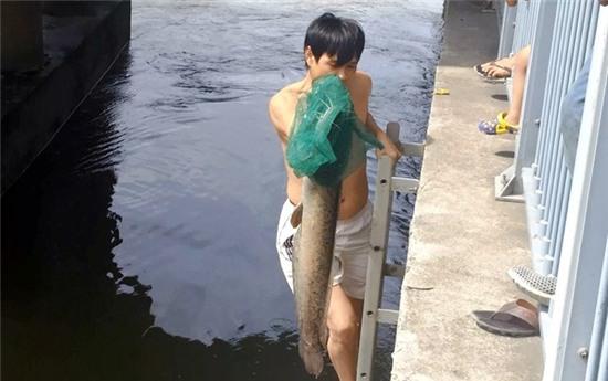 Câu cá trê 'khủng' 7 kg trên kênh Nhiêu Lộc