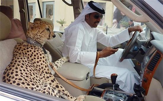 Những điều xa xỉ tới mức điên rồ chỉ có ở Dubai - Ảnh 10.