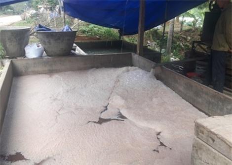 miến bẩn, quy trình chế biến miến bẩn, thực phẩm bẩn, Tết, sản xuất miến sợi