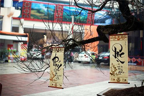 chiem nguong dao da sapa co gia 300 trieu o ha noi - 6