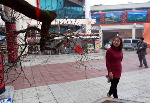 chiem nguong dao da sapa co gia 300 trieu o ha noi - 11