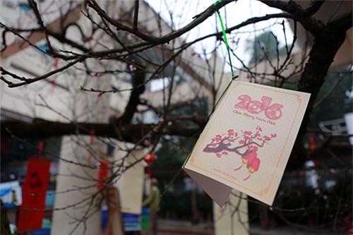 chiem nguong dao da sapa co gia 300 trieu o ha noi - 12