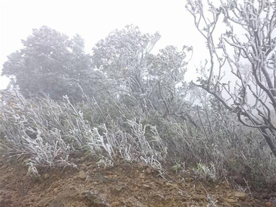 Mẫu Sơn 0 độ C, xuất hiện băng giá - Ảnh 3.